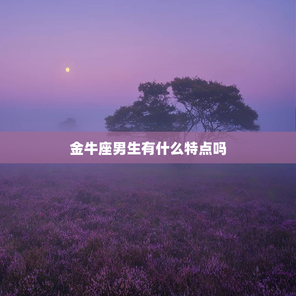 金牛座男生有什么特點嗎