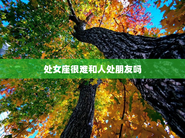 處女座很難和人處朋友嗎