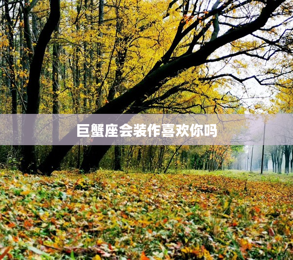 巨蟹座會裝作喜歡你嗎