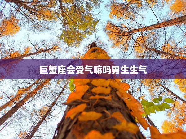 巨蟹座會受氣嘛嗎男生生氣