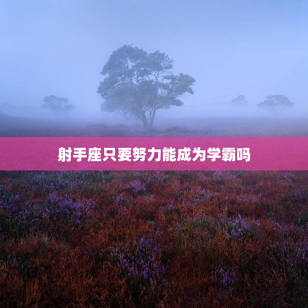 射手座只要努力能成為學霸嗎