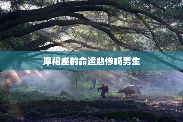 摩羯座的命運悲慘嗎男生