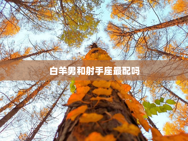 白羊男和射手座最配嗎