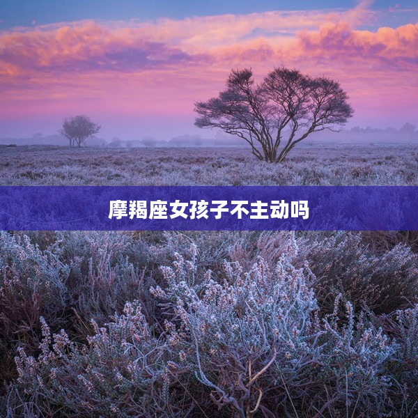 摩羯座女孩子不主動嗎