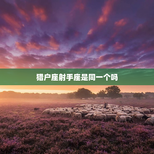 獵戶座射手座是同一個嗎