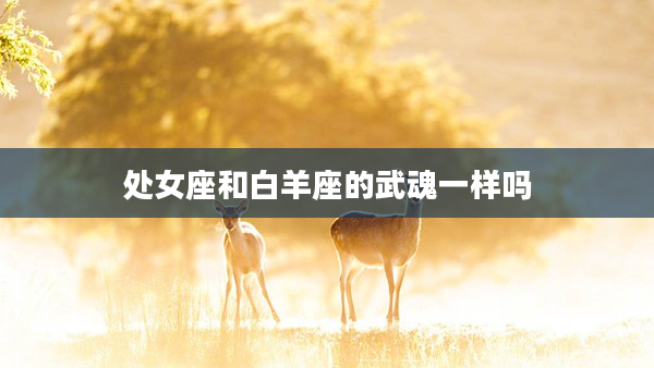 處女座和白羊座的武魂一樣嗎