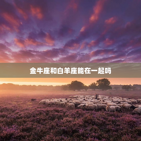 金牛座和白羊座能在一起嗎