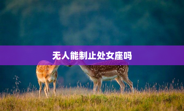 無人能制止處女座嗎