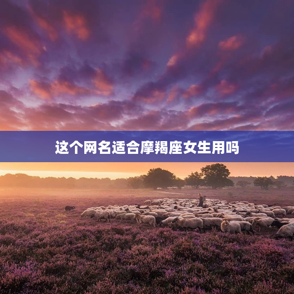 這個網名適合摩羯座女生用嗎