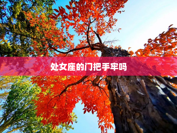 處女座的門把手牢嗎