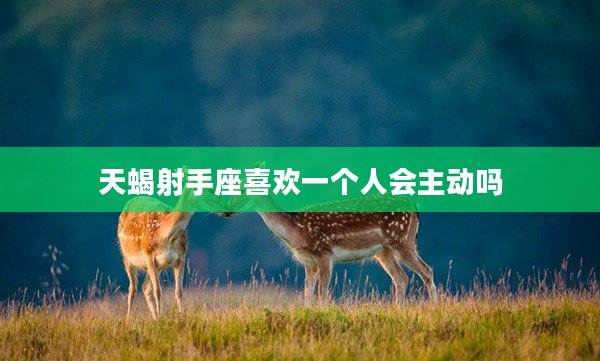 天蝎射手座喜歡一個(gè)人會(huì)主動(dòng)嗎