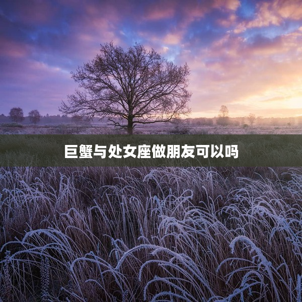 巨蟹與處女座做朋友可以嗎