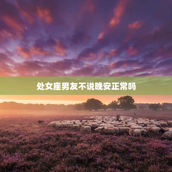 處女座男友不說晚安正常嗎