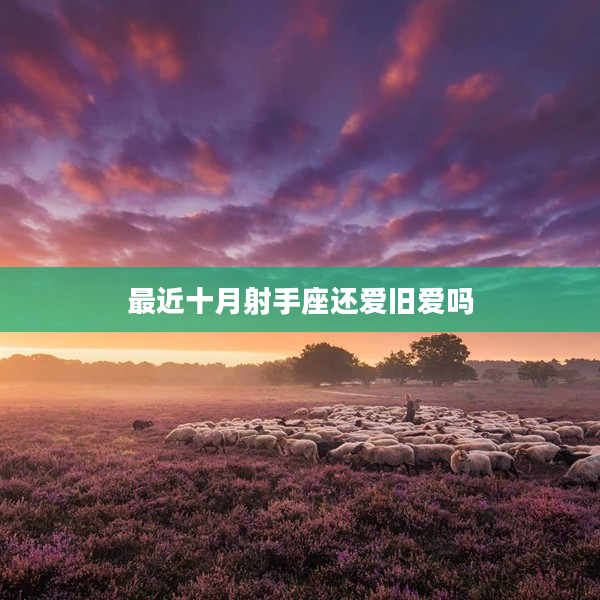 最近十月射手座還愛舊愛嗎