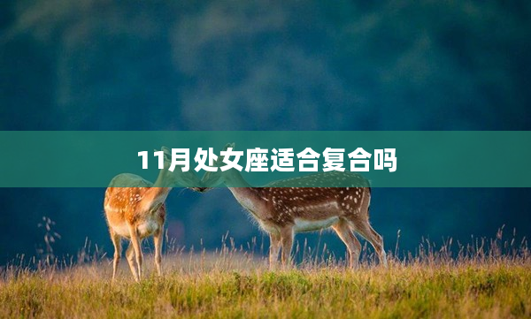 11月處女座適合復(fù)合嗎