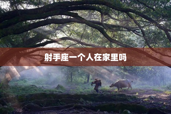 射手座一個人在家里嗎