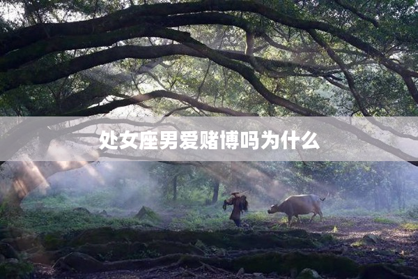 處女座男愛賭博嗎為什么