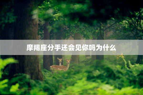 摩羯座分手還會見你嗎為什么