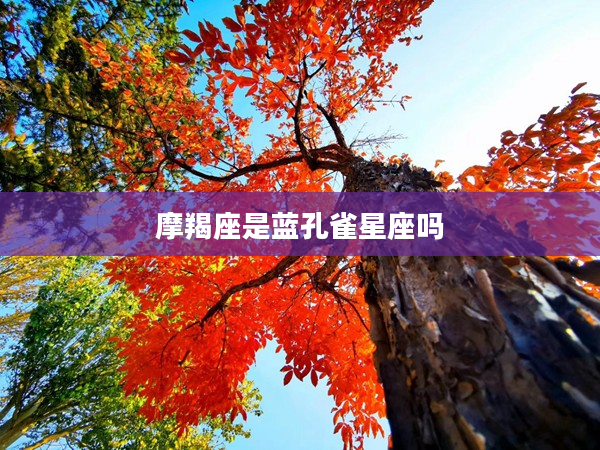 摩羯座是藍孔雀星座嗎