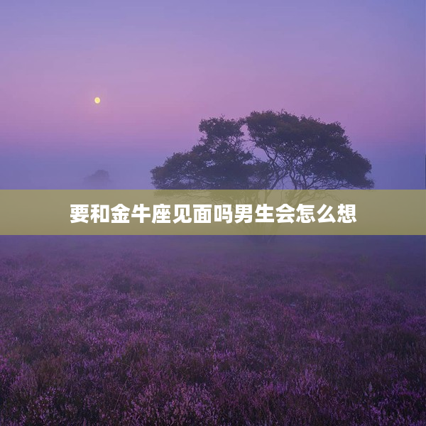 要和金牛座見面嗎男生會怎么想