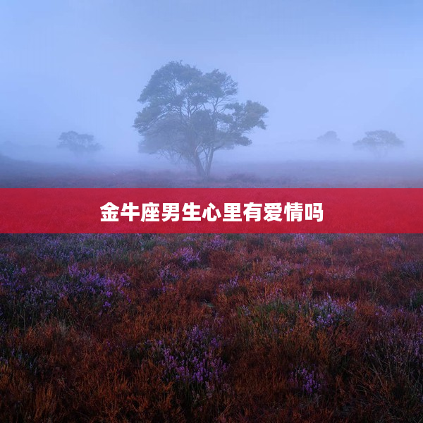 金牛座男生心里有愛(ài)情嗎