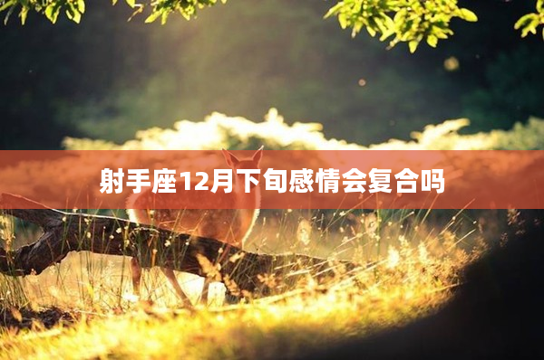 射手座12月下旬感情會復合嗎