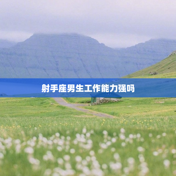 射手座男生工作能力強嗎