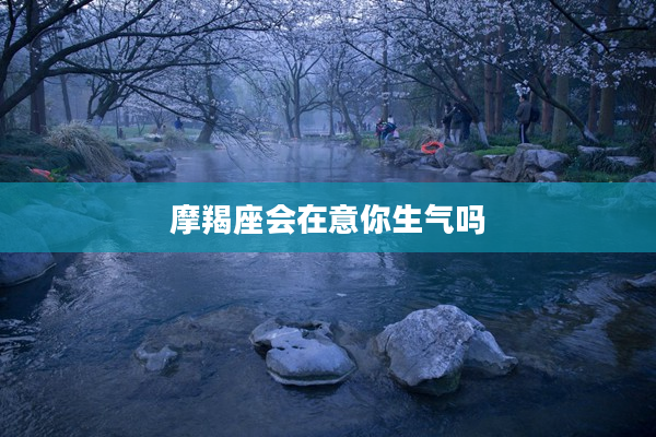 摩羯座會在意你生氣嗎