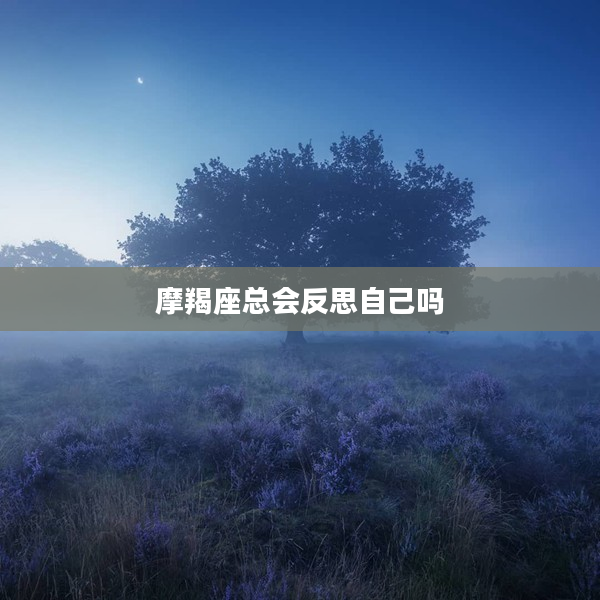 摩羯座總會反思自己嗎