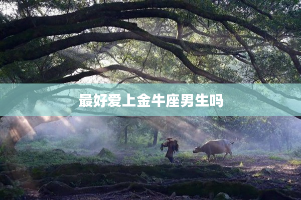最好愛上金牛座男生嗎