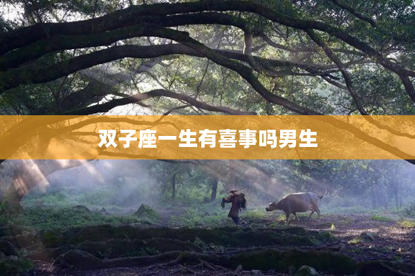 雙子座一生有喜事嗎男生