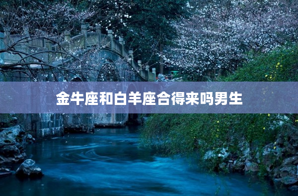 金牛座和白羊座合得來嗎男生