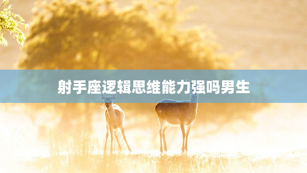 射手座邏輯思維能力強(qiáng)嗎男生