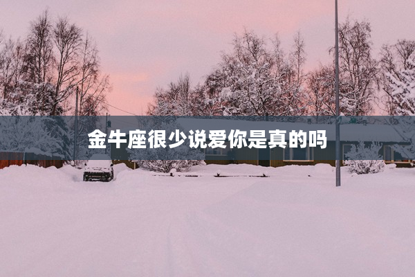 金牛座很少說愛你是真的嗎