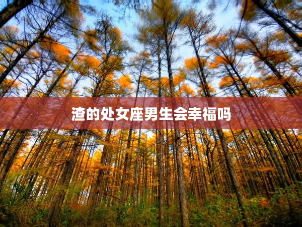 渣的處女座男生會幸福嗎