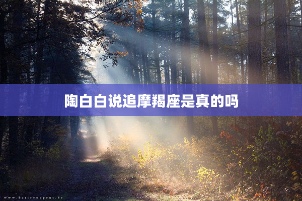 陶白白說追摩羯座是真的嗎