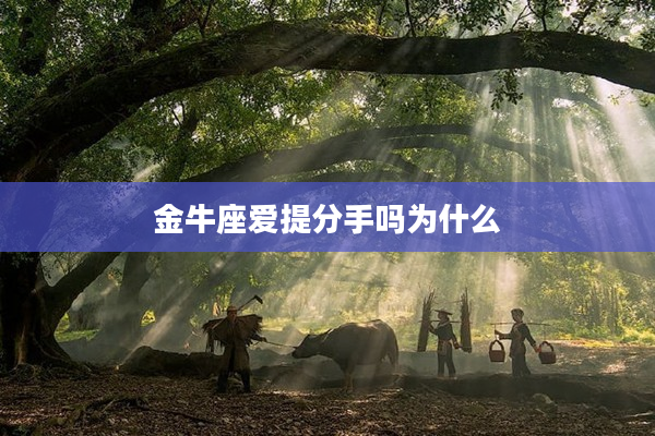 金牛座愛提分手嗎為什么