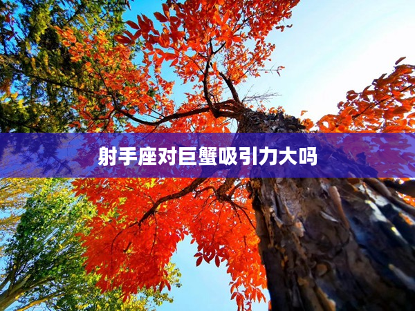 射手座對(duì)巨蟹吸引力大嗎