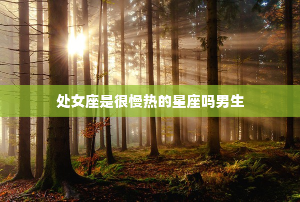 處女座是很慢熱的星座嗎男生