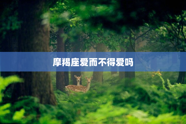 摩羯座愛而不得愛嗎