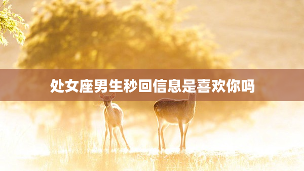 處女座男生秒回信息是喜歡你嗎