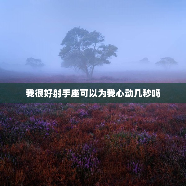 我很好射手座可以為我心動(dòng)幾秒嗎