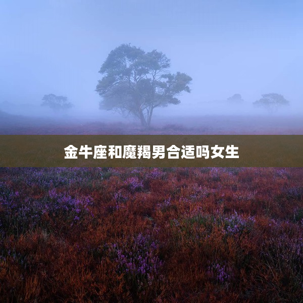 金牛座和魔羯男合適嗎女生