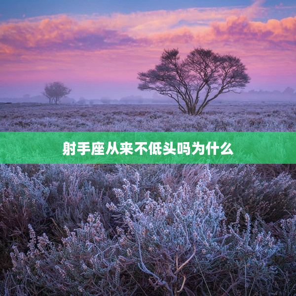 射手座從來不低頭嗎為什么