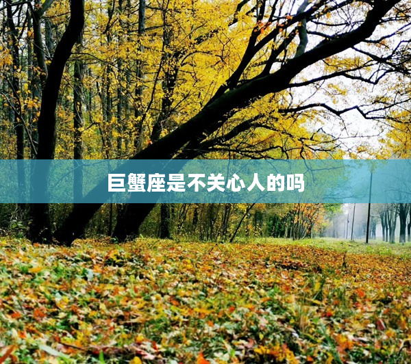 巨蟹座是不關心人的嗎