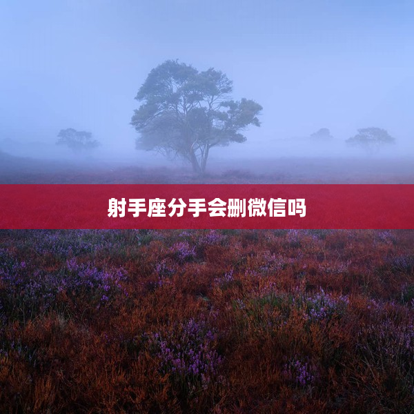 射手座分手會刪微信嗎