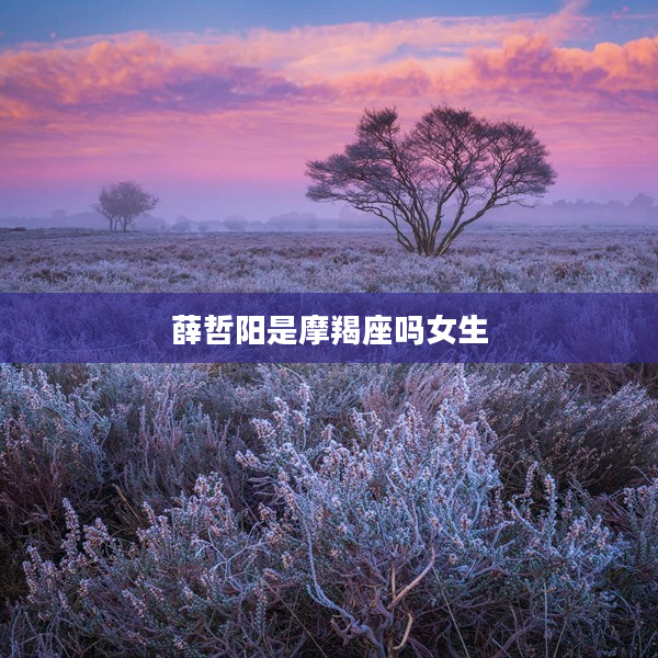 薛哲陽是摩羯座嗎女生