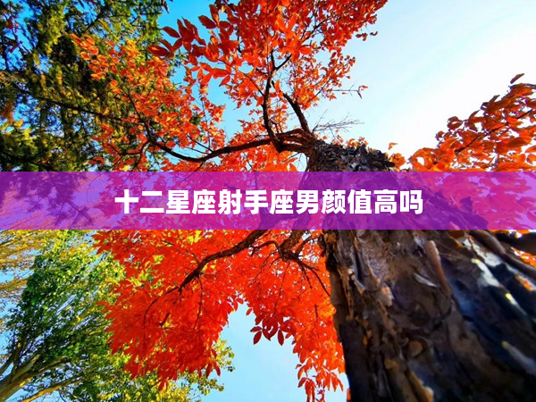 十二星座射手座男顏值高嗎