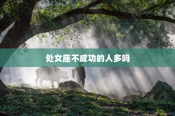 處女座不成功的人多嗎