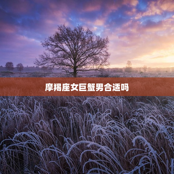 摩羯座女巨蟹男合適嗎